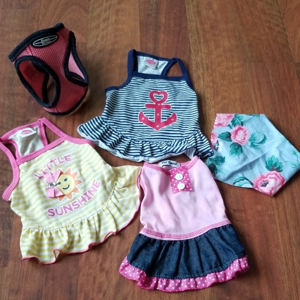 Dog/Puppy clothes BUNDLE!